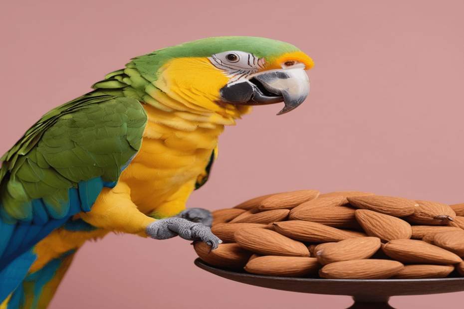 can parrots eat almonds