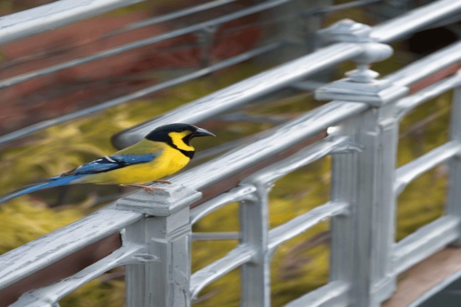 how to keep birds off deck railing