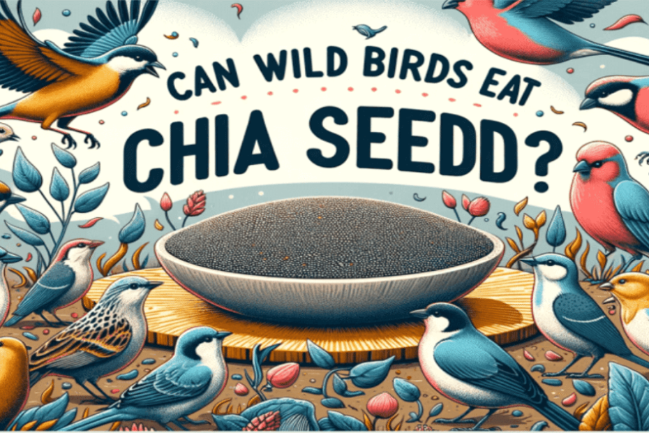 Can Wild Birds Eat Chia Seeds?